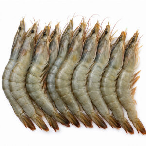 Big Prawn